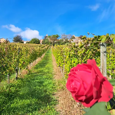 فندق مبيت وإفطار Vigneto Pardom
