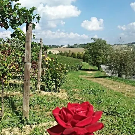 ベッド・アンド・ブレックファスト Vigneto Pardom