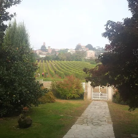 Oda ve Kahvaltı Vigneto Pardom