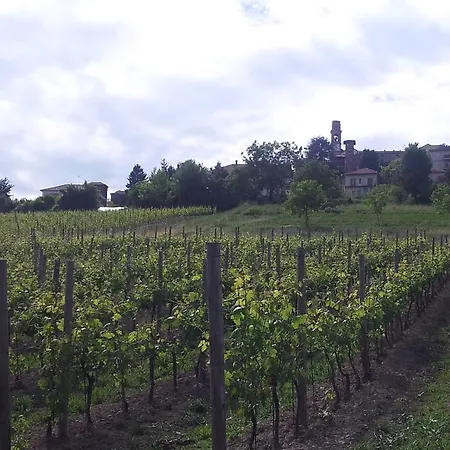 Oda ve Kahvaltı Vigneto Pardom 3*