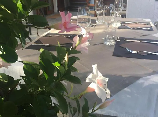 Vigneto Pardom Couette-café