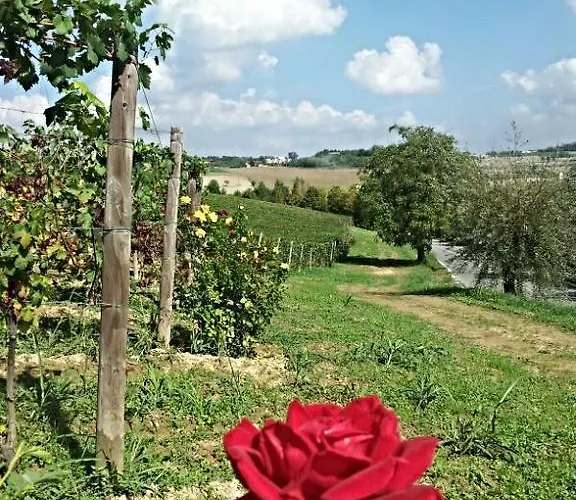 Couette-café Vigneto Pardom