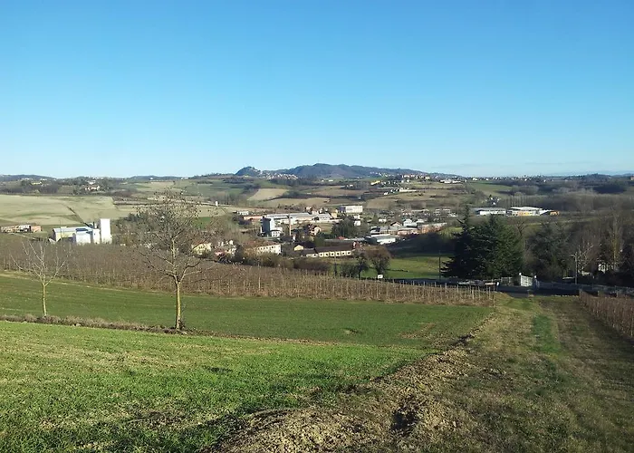 Vigneto Pardom Montiglio